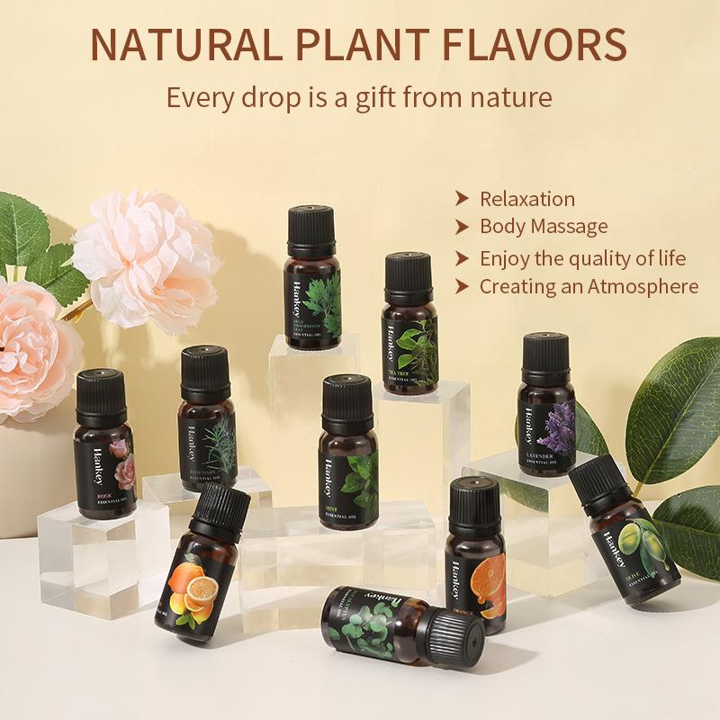 12 Flavors 10ml Essential Oils - Home Fragrance Oils ulasan dan harga